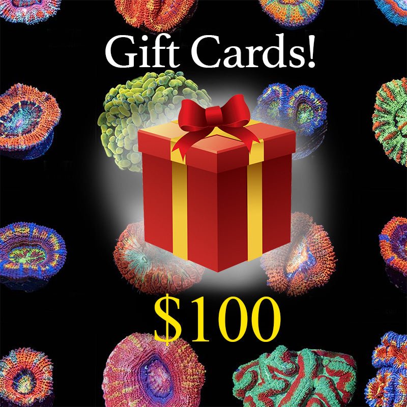 Riptide Aquaculture Gift Card - riptide aquaculture llc